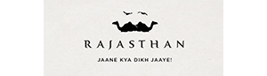 Partner logo 2